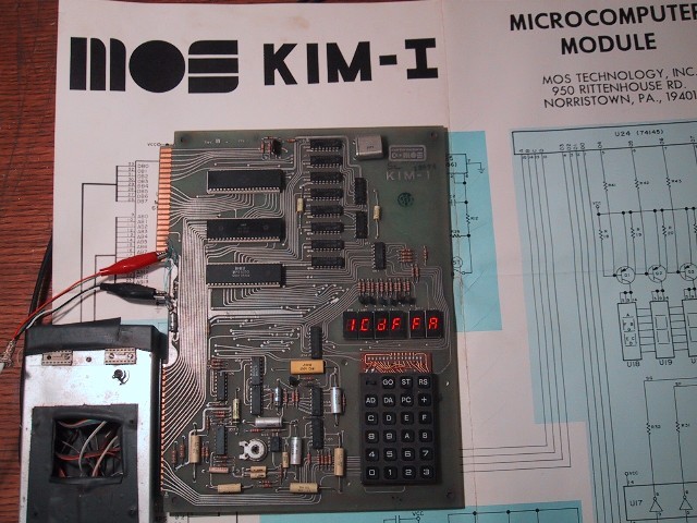 KIM-1